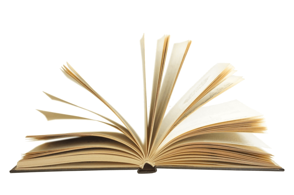 O Level physics tuition session with diagrams and real-life examples